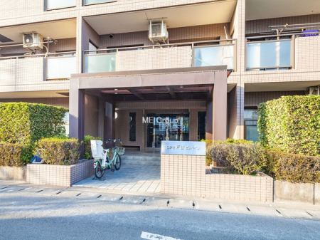 �G���g�����X�@-