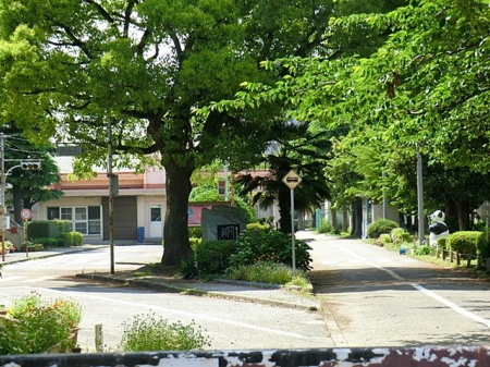 ���ӊ��@���w�Z 530m �D���s���������w�Z