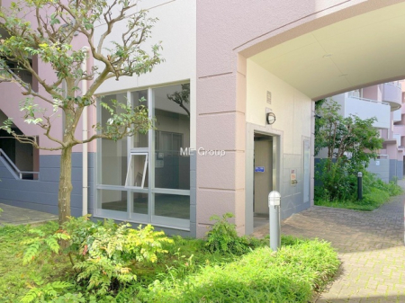 �G���g�����X�@-