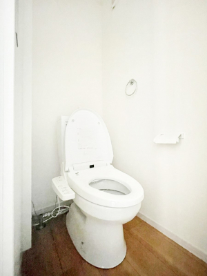 �g�C���@�������̂��锒����Ƃ���������������