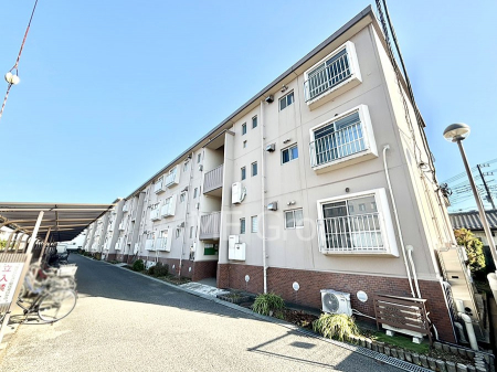 nOώʐ^@Ƃ肪Ί𐶂ސSn悢 