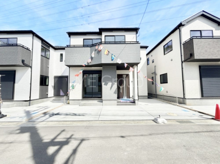 nOώʐ^@Ƃ肪Ί𐶂ސSn悢 