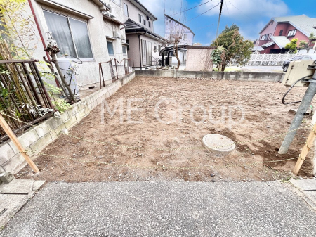 nOώʐ^@Ƃ肪Ί𐶂ސSn悢 