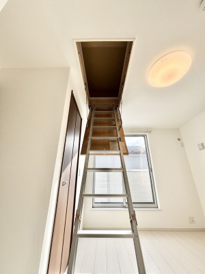 ���̑����ρ@���������[