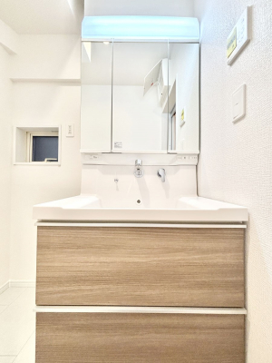 ʑEʏ@傫₷OʋŐʑ́AgȂ݃`FbN┧̂ɂ߂łB 