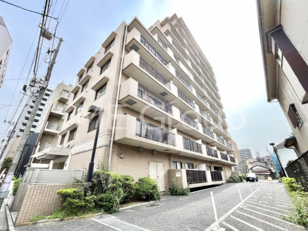 nOώʐ^@Ƃ肪Ί𐶂ސSn悢