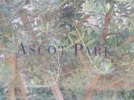 �G���g�����X�@-