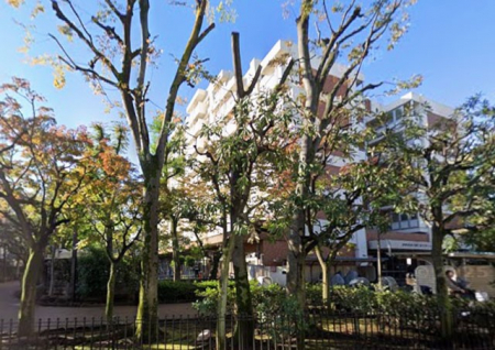 ���ӊ��@�c�t���E�ۈ牀 650m �����v�݂ǂ�ۈ牀