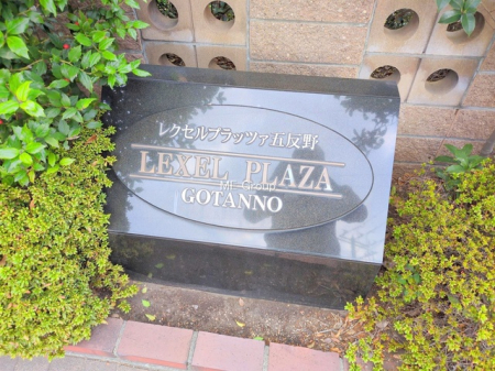 �G���g�����X�@-