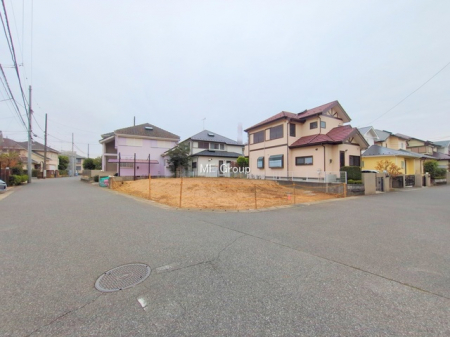 ���n�y�n�ʐ^�@-