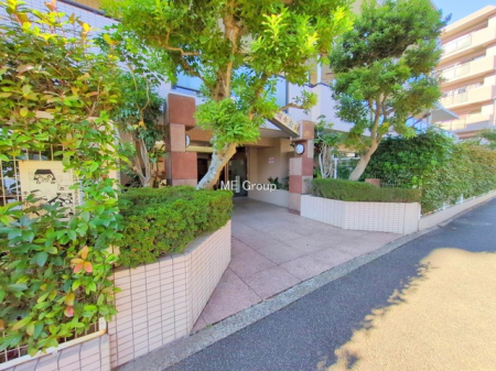 �G���g�����X�@-