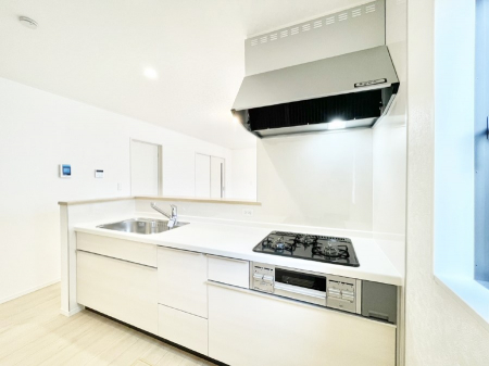 �L�b�`���@�J�E���^�[�z���Ɋy����������ׂ�B�����̂������������Ɣ��������Ȃ肻���ł���