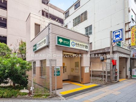 ���ӊ��@�w 560m �s�c�n���S�u���{���v�w