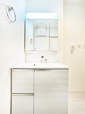 ���ʑ�E���ʏ��@�X�^�C�����O�ɕ֗��ȎO�ʋ��A�~���[�L���r�l�b�g�ōׂ������X�b�L��