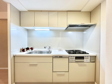 �L�b�`���@�������������I�ɁA�y�����I�V�X�e���L�b�`��