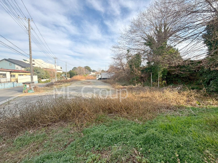 ���n�y�n�ʐ^�@�z���ɕ�܂��Ƒ��̓��핗�i��S�䂭�܂�  