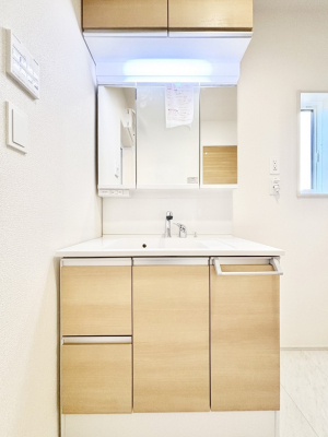 ���ʑ�E���ʏ��@���[�͂Ƌ@�\���ɗD�ꂽ���ʉ��ϑ�