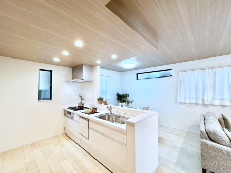 �L�b�`���@�J�E���^�[�z���Ɋy����������ׂ�B�����̂������������Ɣ��������Ȃ肻���ł��ˁB