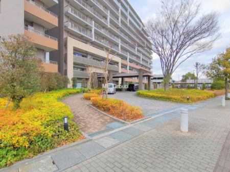 �G���g�����X�@-