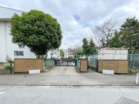 ���ӊ��@���w�Z 1400m �����s�����㓌���w�Z