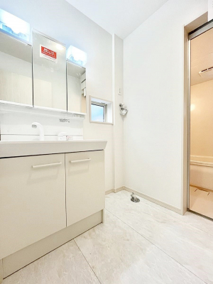 ���̑��@����������z���C�g�J���[����Ƃ������ʎ�