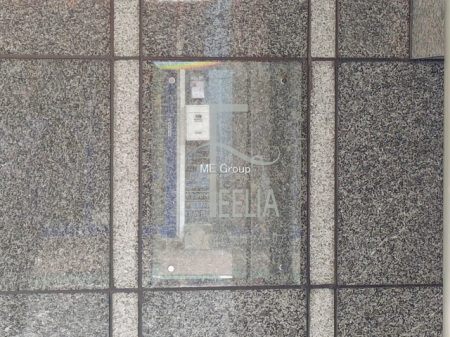 �G���g�����X�@-