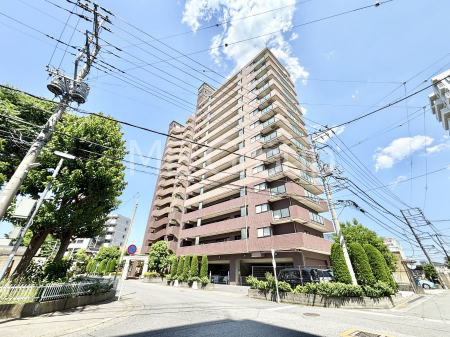 ���n�O�ώʐ^�@��Ƃ肪�Ί�𐶂ސS�n�悢���� 