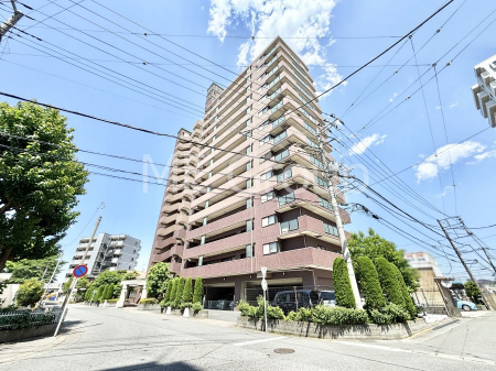 ���n�O�ώʐ^�@��������n�܂�V�����������������܂�