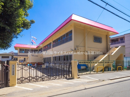 ���ӊ��@�c�t���E�ۈ牀 390m �����ڂ̕ۈ牀