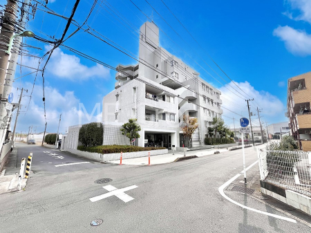 ���n�O�ώʐ^�@����z���ł��Ƒ��̏Ί���P�� 