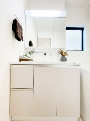 ���ʑ�E���ʏ��@���[�͂Ƌ@�\���ɗD�ꂽ���ʉ��ϑ�