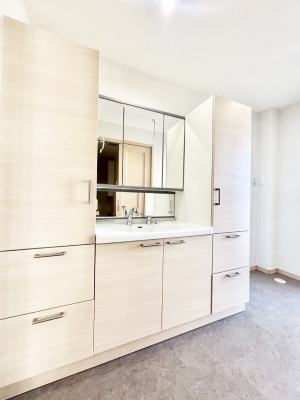 ���ʑ�E���ʏ��@���[�͂Ƌ@�\���ɗD�ꂽ���ʉ��ϑ�