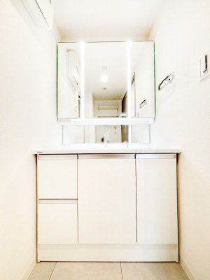 ���ʑ�E���ʏ��@�X�^�C�����O�ɕ֗��ȎO�ʋ��A�~���[�L���r�l�b�g�ōׂ������X�b�L��