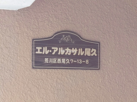 �G���g�����X�@-