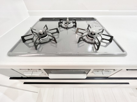 ���̑����ρ@�O���K�X�R�����ł���������C�ɂ͂��ǂ肻���B  