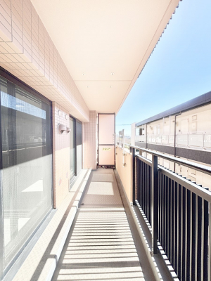 �o���R�j�[�@�z�˂������Ղ�~�蒍���o���R�j�[