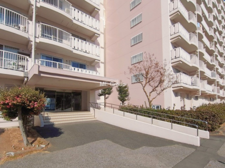 �G���g�����X�@-