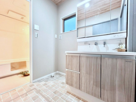 ���̑��@�_�炩�Ȓ��̌����������鑋���������ʎ�