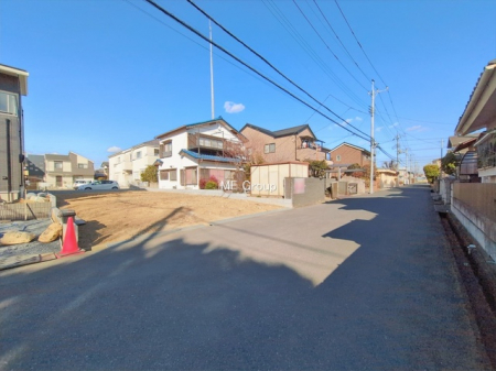 ���n�y�n�ʐ^�@-