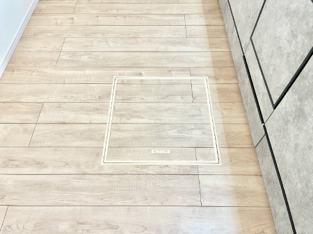 ���̑����ρ@�������[�t���I���p�i�E���p�i�̎��[�ɂ��劈��B