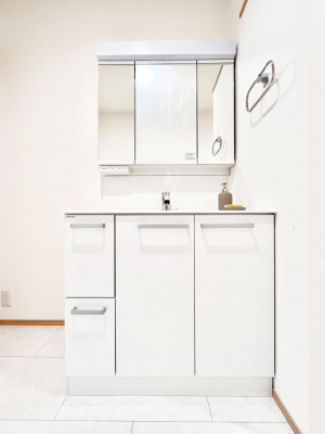 ���ʑ�E���ʏ��@���[�͂Ƌ@�\���ɗD�ꂽ���ʉ��ϑ�