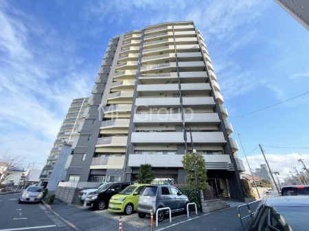 ���n�O�ώʐ^�@����z���ł��Ƒ��̏Ί���P��