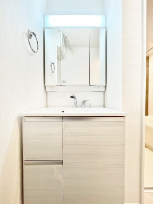 ���ʑ�E���ʏ��@�X�^�C�����O�ɕ֗��ȎO�ʋ��A�~���[�L���r�l�b�g�ōׂ������X�b�L��