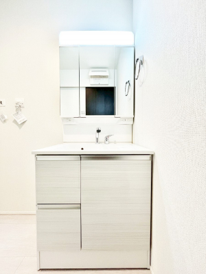 ���ʑ�E���ʏ��@�X�^�C�����O�ɕ֗��ȎO�ʋ��A�~���[�L���r�l�b�g�ōׂ������X�b�L��