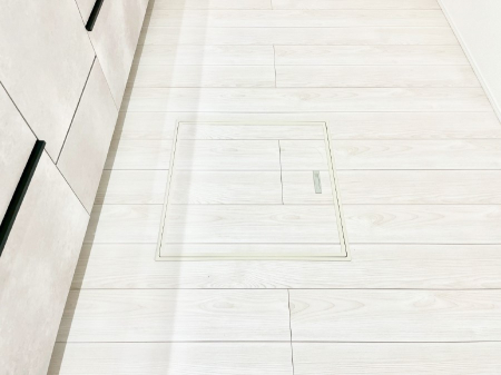 ���̑����ρ@�������[�t���I���p�i�E���p�i�̎��[�ɂ��劈��B