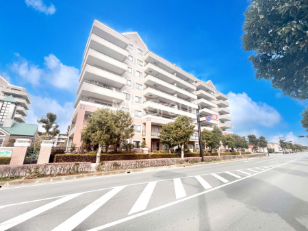 ���n�O�ώʐ^�@��������n�܂�V�����������������܂�