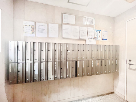 ���̑��@�W���|�X�g