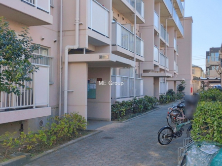 �G���g�����X�@-