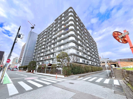 ���n�O�ώʐ^�@��������n�܂�V�����������������܂��@