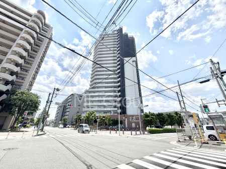 ���n�O�ώʐ^�@��������n�܂�V�����������������܂��B